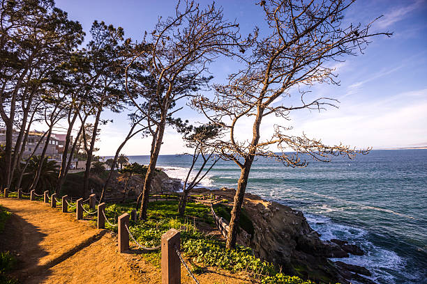 istock Boardwalk along beach in La Jolla, California, USA 512173794