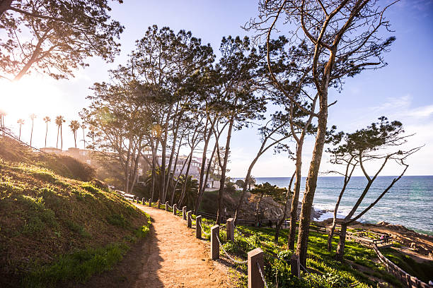 istock Boardwalk along beach in La Jolla, California, USA 512173866