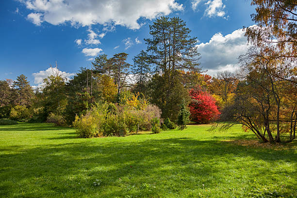 autumn sunshine in the park