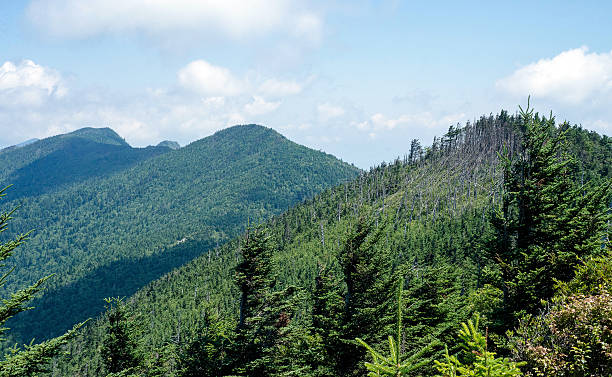 istock Row of mountain peaks 512175273