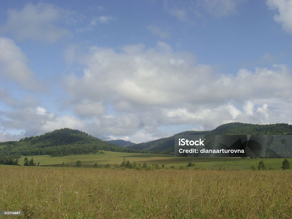 Green hills in mountain valley Green hills in mountain valley. Summer landscape. Green meadow Agricultural Field Stock Photo