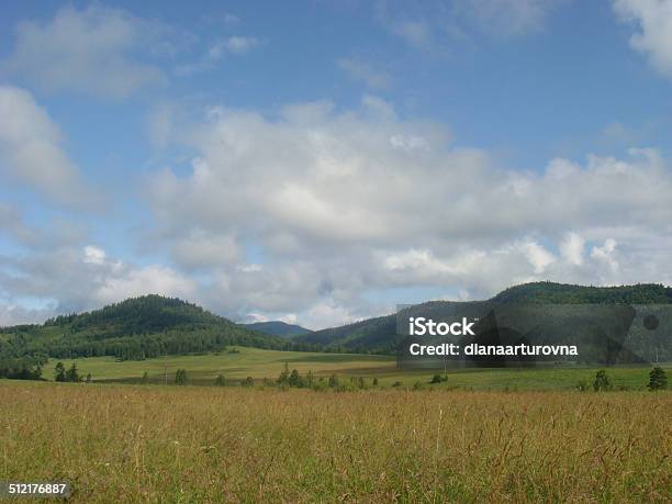 Green Hills In Mountain Valley Stock Photo - Download Image Now - Agricultural Field, Agriculture, Backgrounds