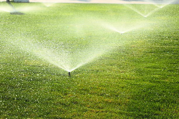 istock garden sprinkler on the green lawn 512183551