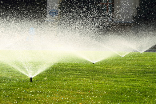 garden sprinkler on a sunny summer day during watering the green lawn