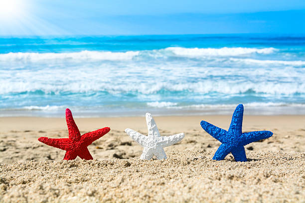 Starfish on beach during July fourth Conceptual summer holiday image of three red, white and blue starfish on the beach overlooking a turquoise ocean while celebrating the July fourth holiday. patriotism photos stock pictures, royalty-free photos & images