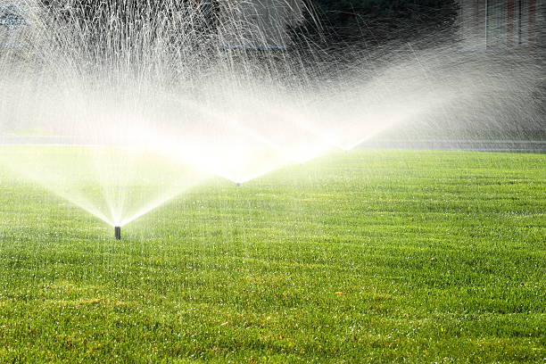 istock garden sprinkler on the green lawn 512185977