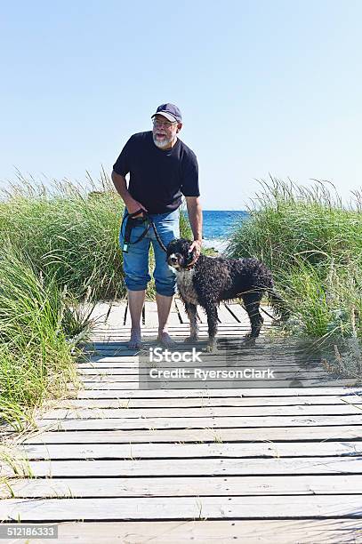 Senior Man Walking His Dog On A Nova Scotia Beach Stock Photo - Download Image Now - Pet Leash, Beach, Copy Space