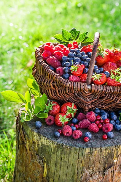 istock Ripe berry fruits in garden 512200840