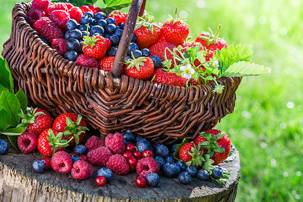 istock Fresh berry fruits in basket 512200990