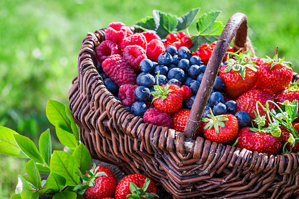 Healthy berries in sunny day