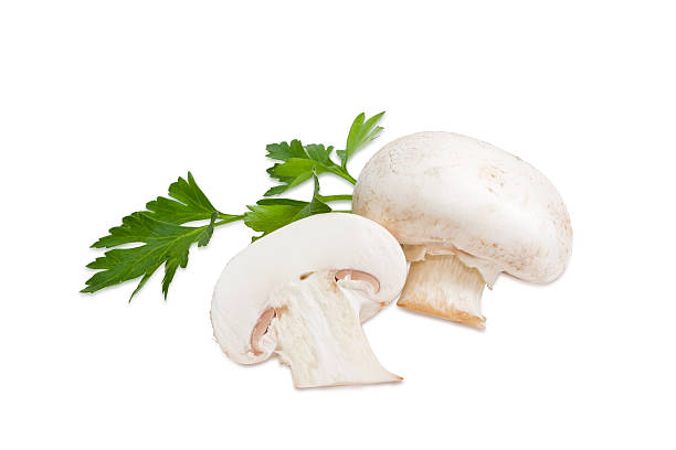 istock One whole and one half of a button mushroom 512203634