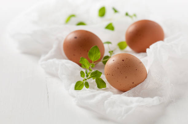 Fresh brown eggs with twigs of oregano on white cheesecloth. Selective focus. 