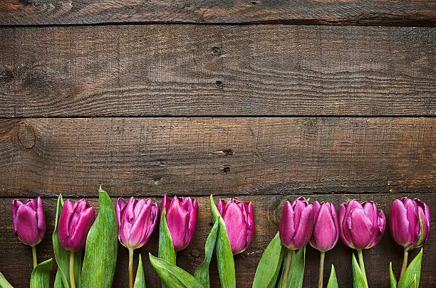 Photo of Pink, tulips bunch on dark barn wood planks background