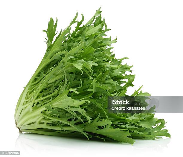 Escarole Endive Stock Photo - Download Image Now - Chicory, Endive, Lettuce