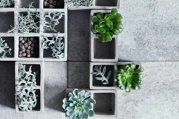 istock Modern composition with cubical concrete planters and succulents. 512210294