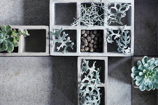 istock Modern composition with cubical concrete planters and succulents. 512210414