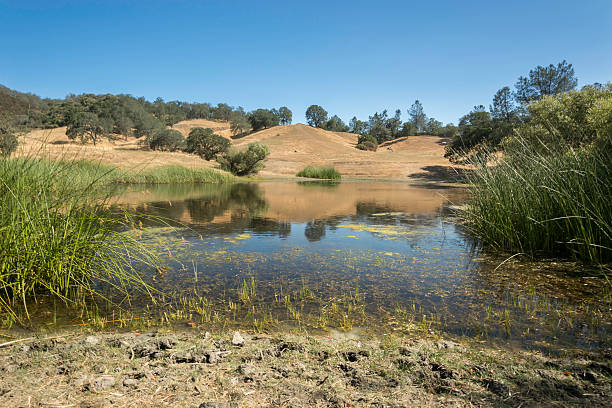 étang de californie - dry white blue northern california photos et images de collection