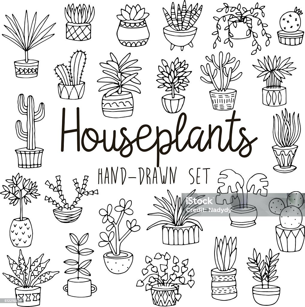 Hand drawn line set of houseplants in pots Hand drawn line doodle set of houseplants in pots Drawing - Art Product stock vector