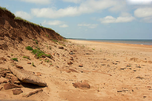 istock Dunes in Prince Edward Island National Park 512215553