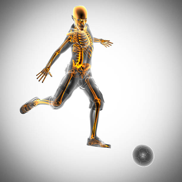 istock soccer game player radiography image 512215881
