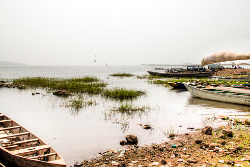 Paisaje de Toko, cerca de Lago Volta en la región Volta photo