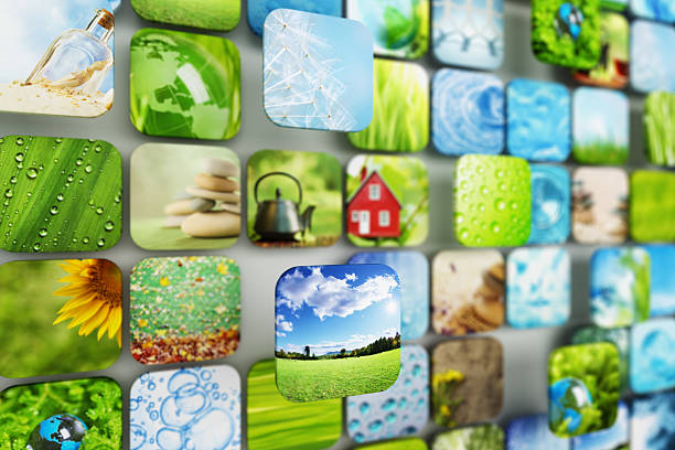 istock Collection of images 512217247