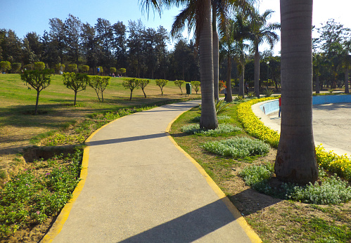 Garden Path in Nehru Park, New Delhi, India