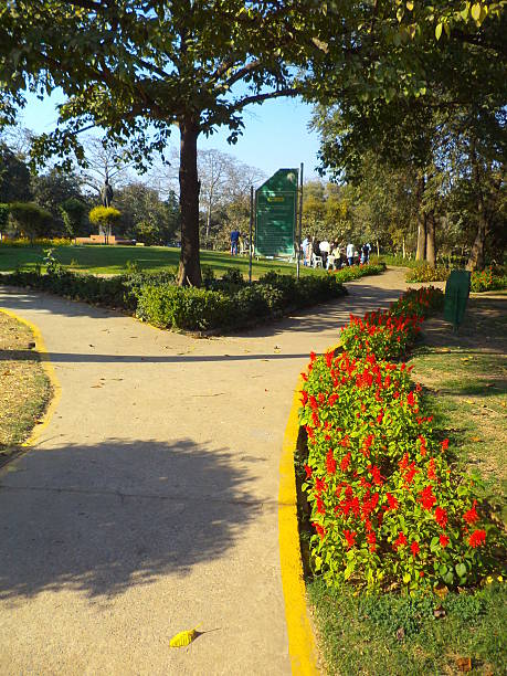 istock Nehru Park, New Delhi, India 512222392