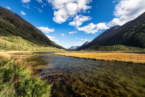 istock Lake on the Kenai Peninsula 512223156