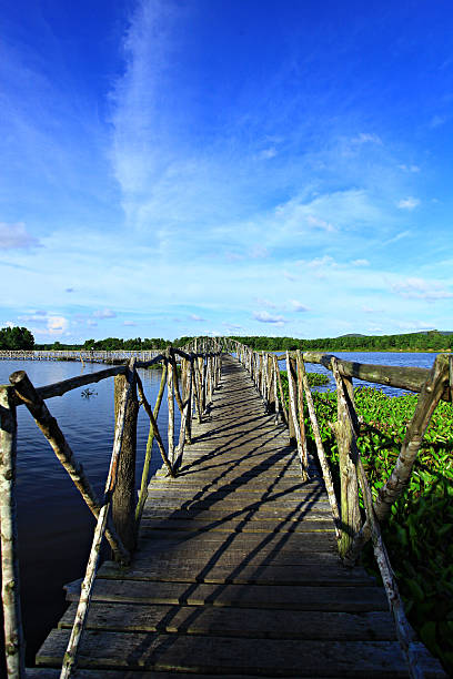 istock Nong Yai Royal Project Chumphon 512224928
