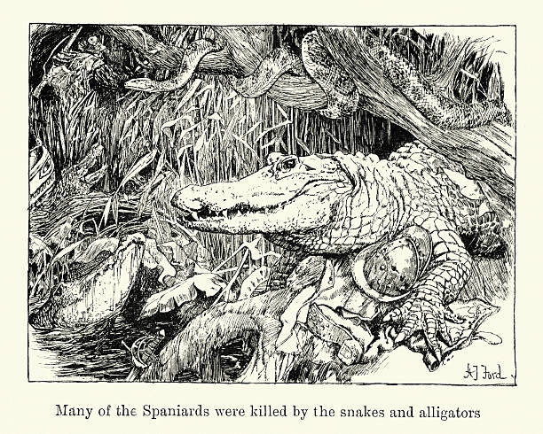 Vintage engraving showing a scene from the Conquest of Peru. Many Spaniards were killed by the snakes and alligators