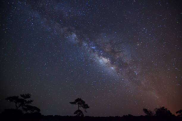 istock Silhouette of Tree and Milky Way. Long exposure photograph. 512228720