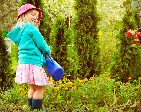 Little girl with a watering can gardening in warm autumn.