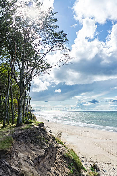 istock Cliffs at the Baltic Sea with beach, trees and people 512252363