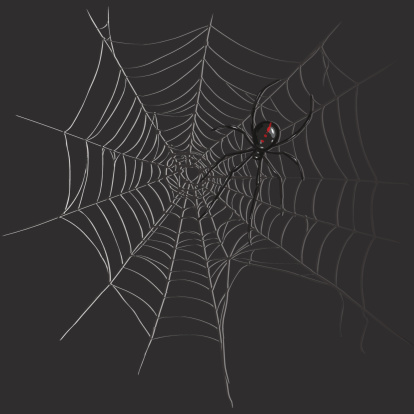 Vector Black Widow Spider Trên Spiders Web Hình minh họa Sẵn có - Tải xuống  Hình ảnh Ngay bây giờ - Bóng râm, Cá heo spinner, Côn trùng - iStock
