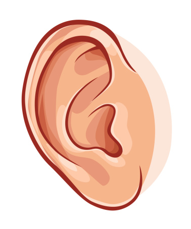 Human Ear Stock Illustration - Download Image Now - Ear, Human Ear,  Illustration - iStock