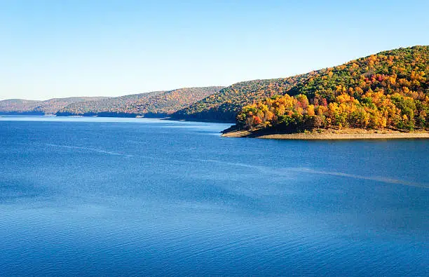 Photo of Allegheny National Forest