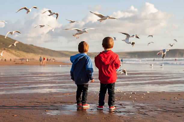 istock Two adorable kids, feeding the seagulls 512273677