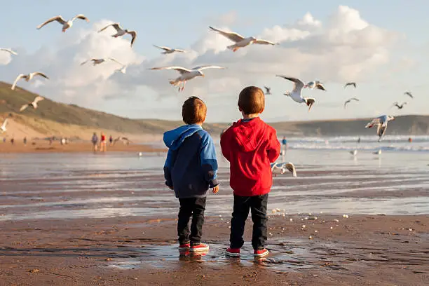Photo of Two adorable kids, feeding the seagulls