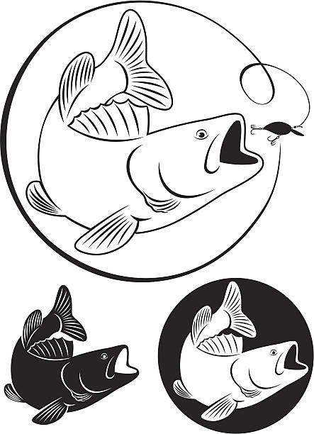 ilustraciones, imágenes clip art, dibujos animados e iconos de stock de peces bass - black bass illustrations