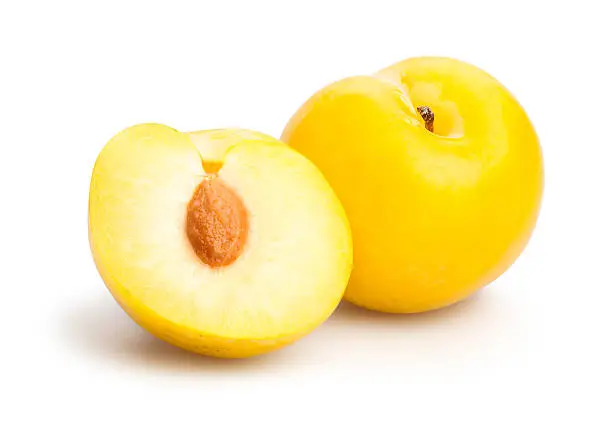 yellow plum isolated