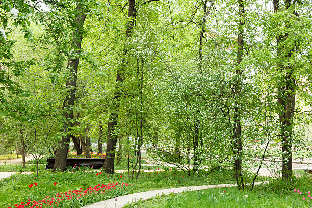 istock flowers shrubs trees and  path in park 512275328