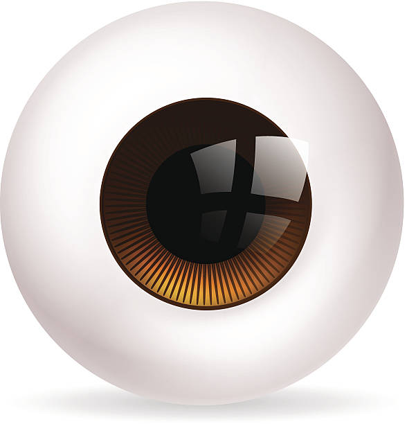 Eye ball An illustration of a big round eye ball  or eyeball animal retina illustrations stock illustrations