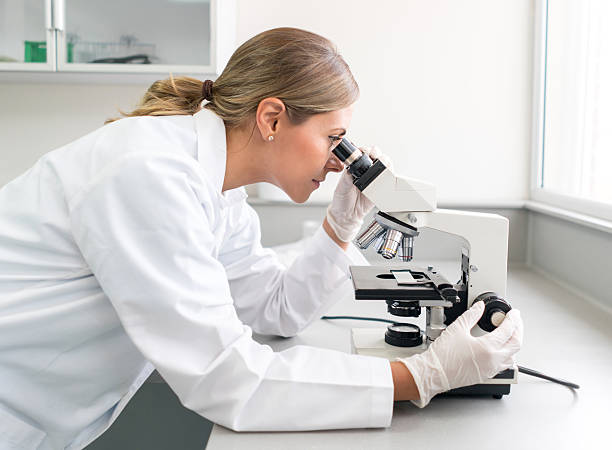 médico haciendo investigación médica en el laboratorio - mirando através fotografías e imágenes de stock