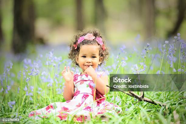 Beautiful Baby Girl Surrounded By Bluebells Stock Photo - Download Image  Now - Baby - Human Age, Flower, Springtime - iStock