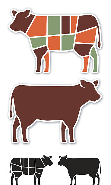 Cow Beef Cuts Cow and beef cuts silhouette diagram illustration. EPS 10 file. Transparency effects used on highlight elements. female rib cage stock illustrations