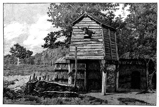 Antique illustration of ancient Germanic dwelling, reconstruction made at the Universal Exposition in Paris (1889). The wooden elevated hut stands on four trunks and it's made of wood boards. It also features a embalmed or carved from wood?) cow head on one side. The house features a pitched wooden roof and around the building there are some minor constructions: simple circular straw sheds.
