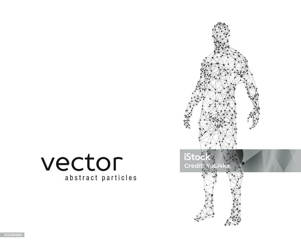 Vector Humain Illustration Vectorielle De Corps Humain Vecteurs libres de droits et ...