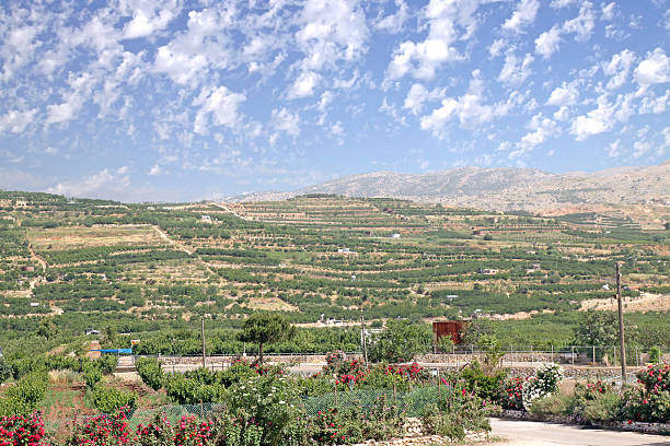 Kibbutz agricultural fields in the Golan Heights
