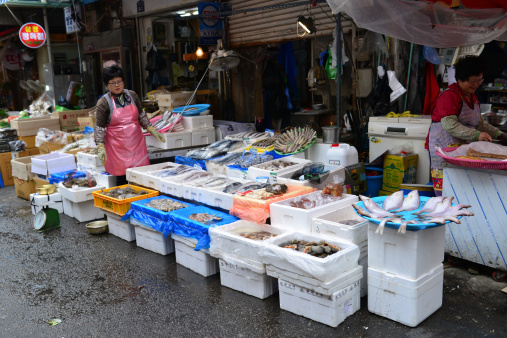 Freshly caught fish on ice in a store.